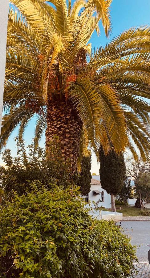 Albufeira Praia Sao Rafael Sun Apartment Ngoại thất bức ảnh